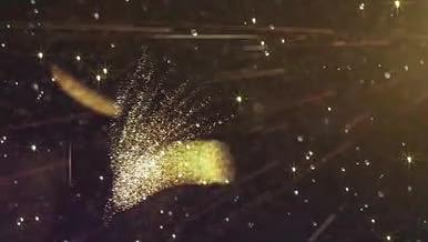 震撼金光金凤凰振翅冲天爆炸粒子视频的预览图